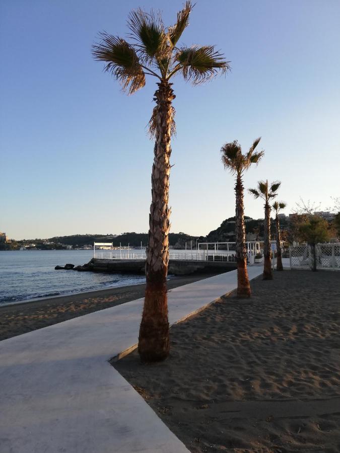 Sibilla 2*